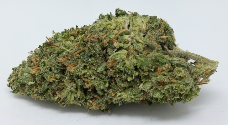 Disco Lemonade